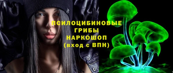 прущие грибы Балахна