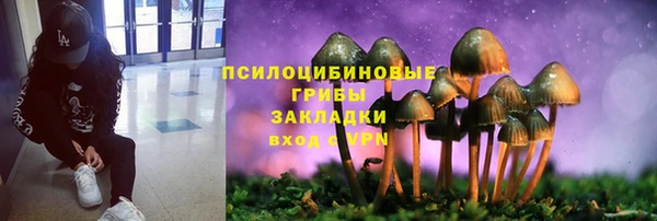 прущие грибы Балахна