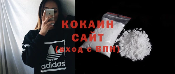 прущие грибы Балахна