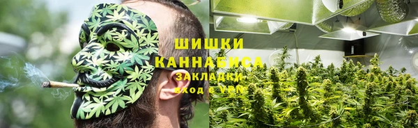 ГАЛЛЮЦИНОГЕННЫЕ ГРИБЫ Баксан