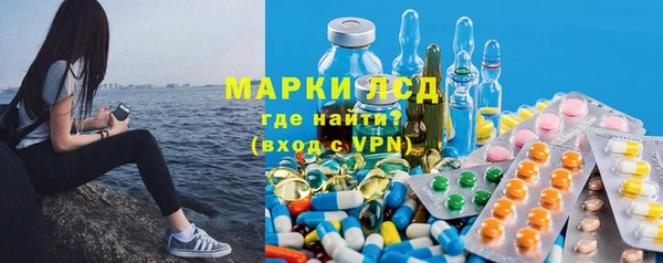 прущие грибы Балахна