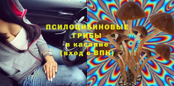 трава Сатка