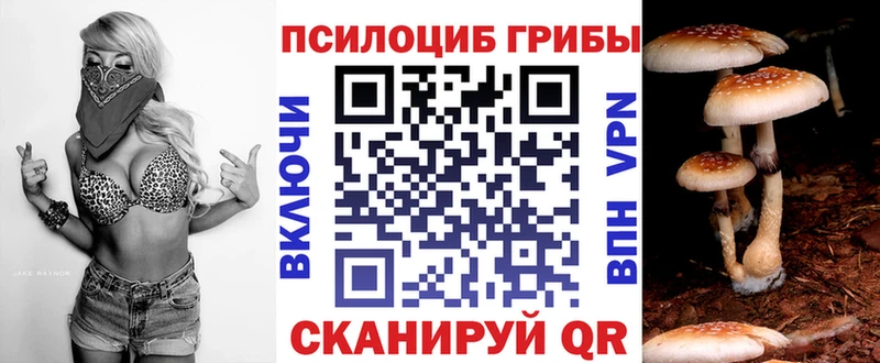 Псилоцибиновые грибы Cubensis  Ленск 